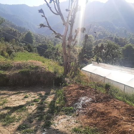מוסורי Parvatiya Homestay מראה חיצוני תמונה