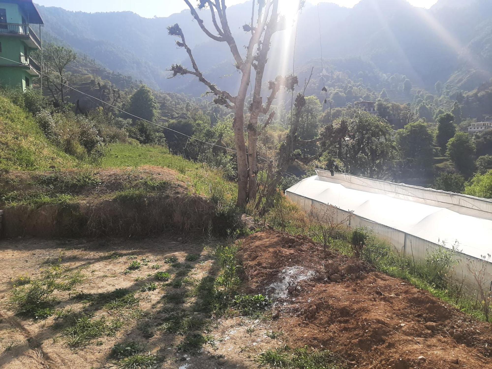 מוסורי Parvatiya Homestay מראה חיצוני תמונה
